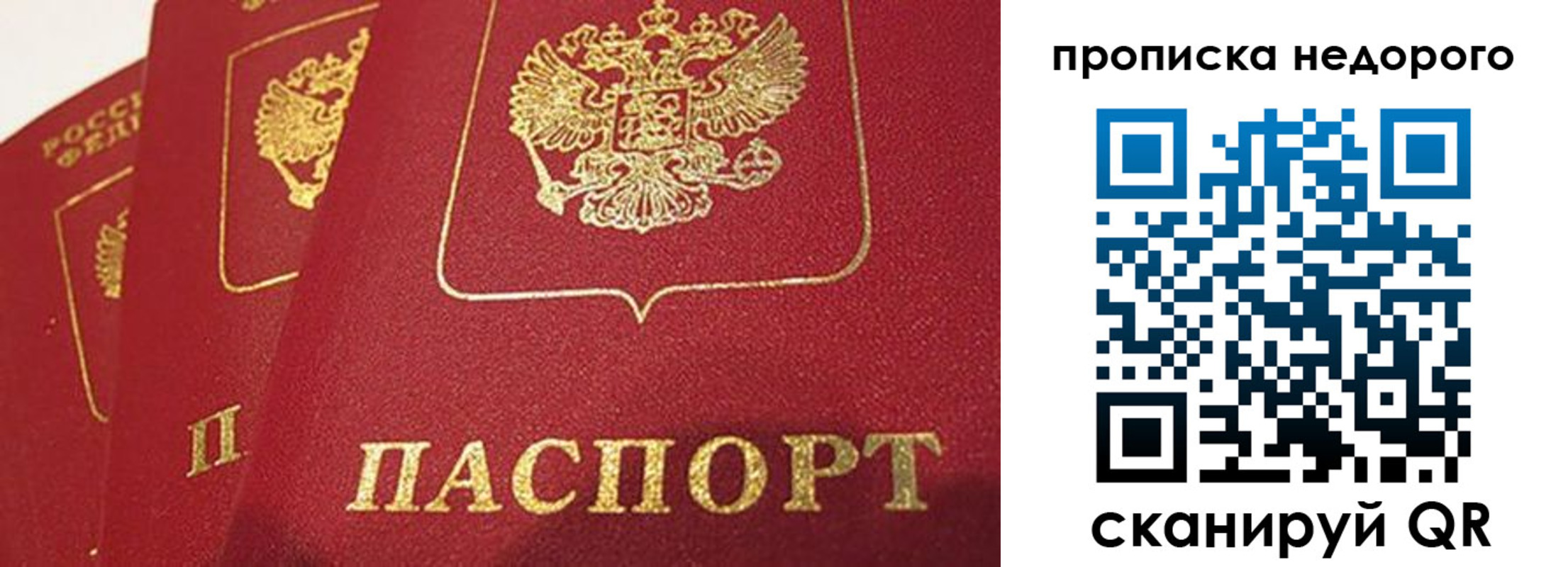 регистрация для школы в Дмитрове
